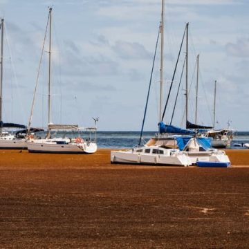 Crise de l’eau en Guadeloupe : une situation critique à gérer