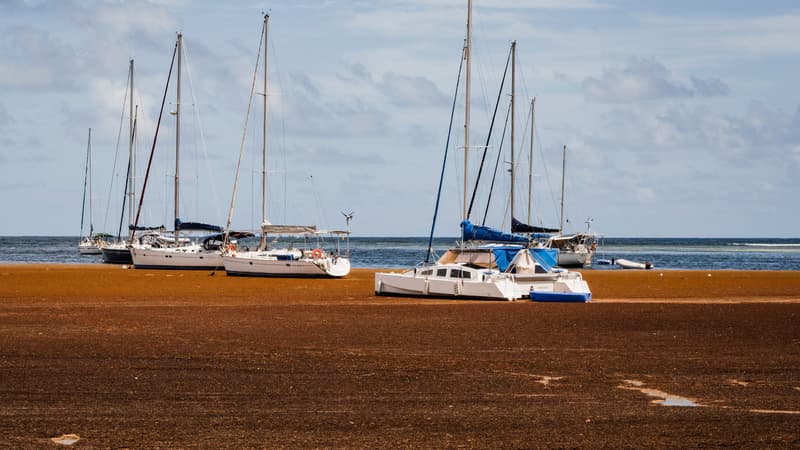 06198f9a-13eb-43ae-991f-b9871df082d1 Crise de l’eau en Guadeloupe : une situation critique à gérer