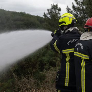 Un pompier volontaire meurt en intervention lors d’un feu de forêt en Savoie