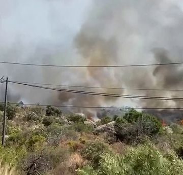 1318155a-f02a-4198-a9ca-98d779b1710c Les Incendies et Leur Impact sur les Forêts et le Climat
