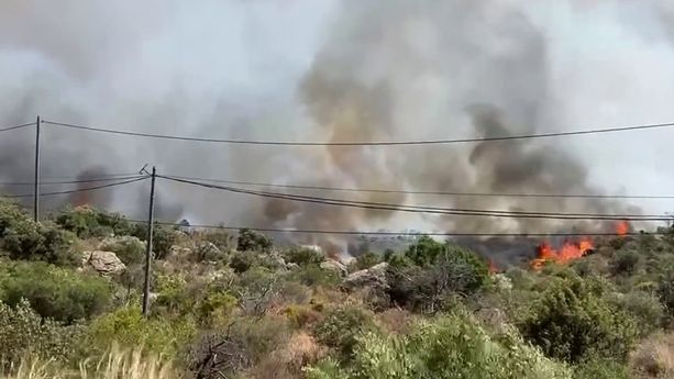 1318155a-f02a-4198-a9ca-98d779b1710c Les Incendies et Leur Impact sur les Forêts et le Climat