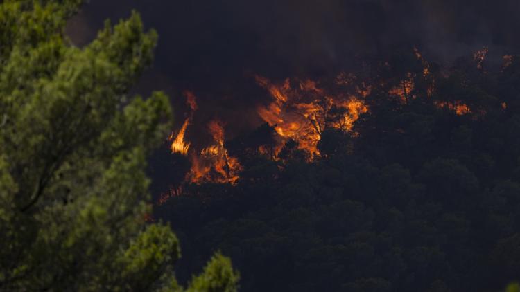 1530ecc3-a155-413f-85a9-2be9d61ca6d8 Les pompiers luttent contre l’incendie à Pontevès et alertent sur les arnaques en ligne