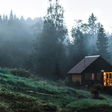 Analyse du Roman &lsquo;Dans la forêt&rsquo; de Jean Hegland