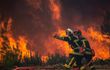 1a7b2014-9669-41f8-894e-7746cd092cc9 Incendies et Canicule en France