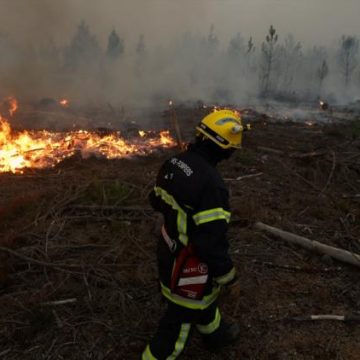 1c94c0ed-4b99-47ef-86fa-0864c7dd82b2 Incendies en Gironde et Landes : une situation critique amplifiée par la chaleur