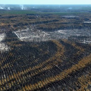 1c986c48-b5ed-4ff3-884f-b52f420ea8c3 Situation des incendies en France et en Europe