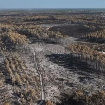 La dévastation de l&rsquo;incendie en Gironde