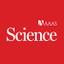 Dix ans de Science Immunology : un numéro spécial sur la mémoire immunitaire
