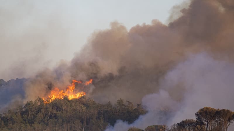 21f15ef3-ab49-43c8-ab12-8c380bb674c1 Incendie majeur près de la Costa Brava : impact environnemental et réactions des autorités