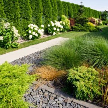 23b4b614-bebd-4d57-ac89-4701629a2bda L’Importance du Débroussaillement des Jardins en Zones à Risque d’Incendie
