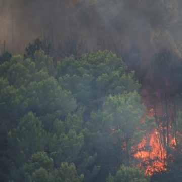 25c1cee4-6e3b-453f-8191-fa7a88894d86 Incendies dans le Var : évacuations et renforcement des secours