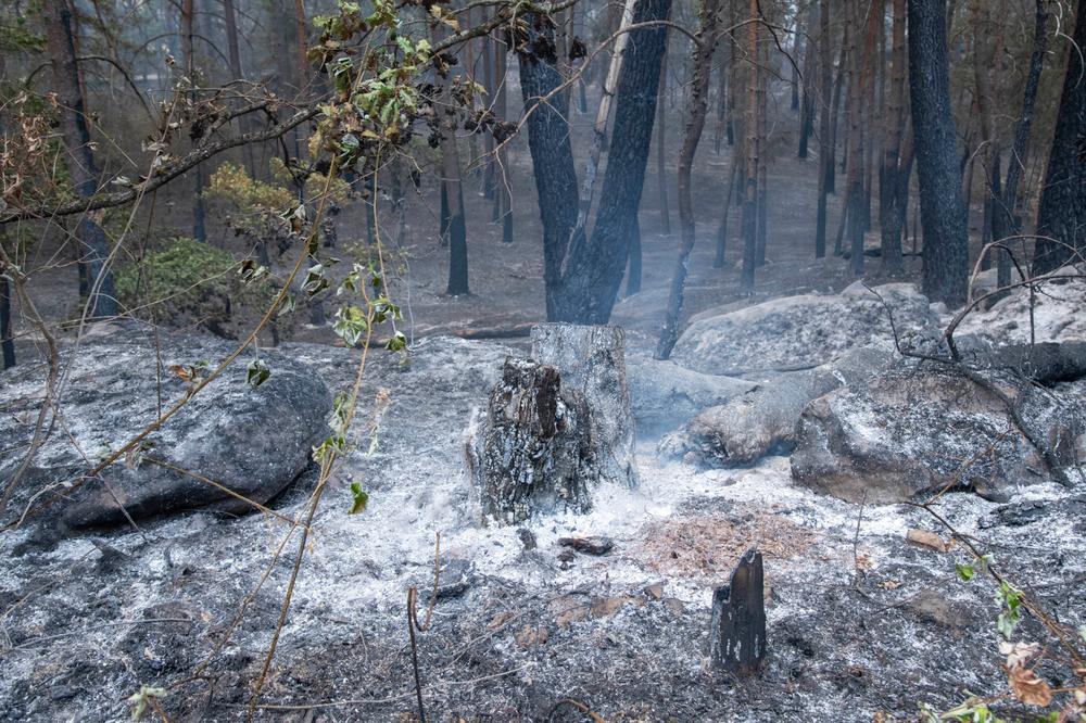 27d9e97a-fe22-4ba8-8e44-663f9560f3a3 Incendies en France durant la canicule de 2026