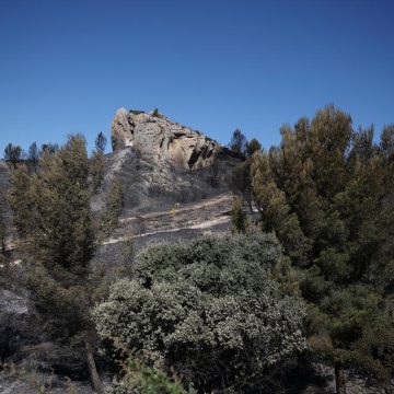 2ea44402-0993-48b4-b13b-6f83656c0650 La France confrontée à une saison des incendies sans précédent