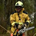 Les incendies en France et leurs conséquences