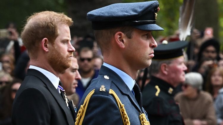 399da0ea-1e06-4b56-abdd-af43b440e5e9 La fracture entre Harry et William persiste