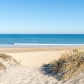 Les règles à respecter sur la plage pour préserver les écosystèmes