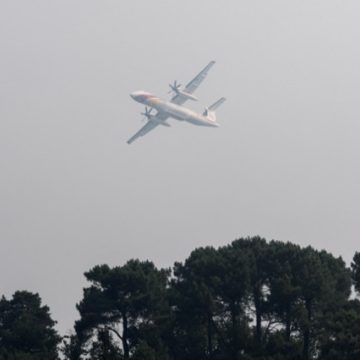 Incendie majeur en forêt de Fontainebleau : détours et interventions