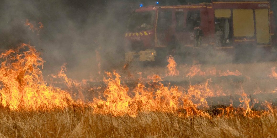 40f0f66a-7d72-45e3-9882-0e437f19df01 Les incendies en Gironde : le combat contre les flammes