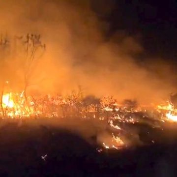 412494f6-93f9-452e-8071-8e662d99a61a Les feux de forêt en Espagne exacerbés par les vagues de chaleur