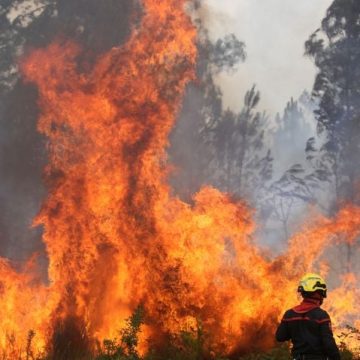 L’incendie sans précédent en Gironde : une analyse