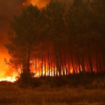 Les nouveaux feux convectifs en France: un défi pour les pompiers