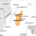 Un baobab millénaire menacé à Madagascar
