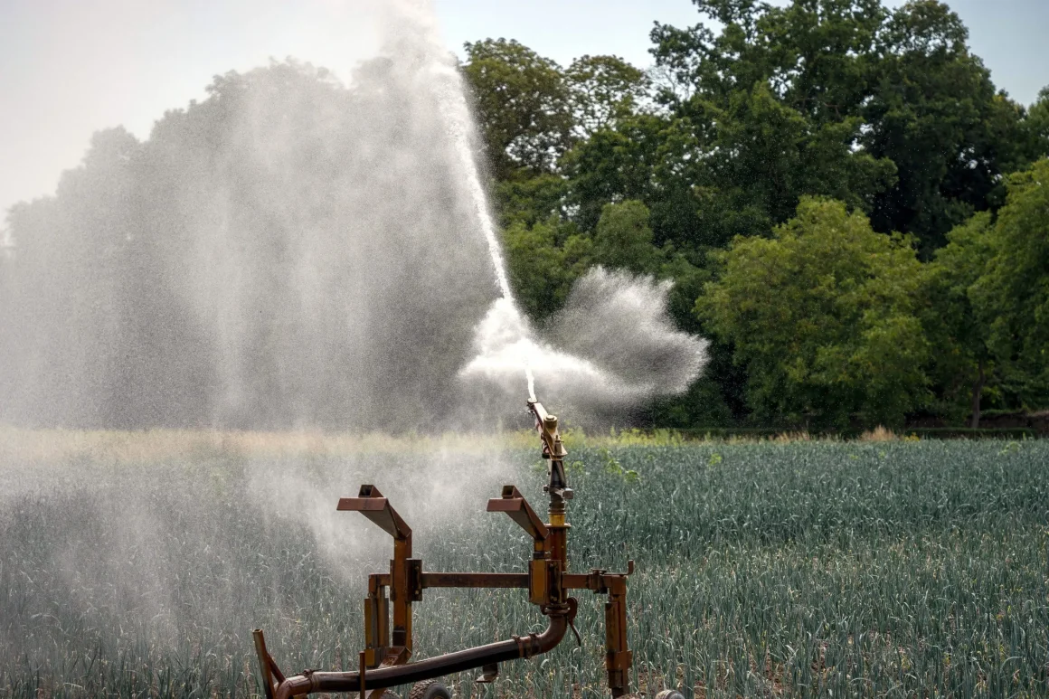 479043e7-9142-404d-9da5-273a09d95244 Réintroduction de Pesticides : Une Polémique Sanitaire