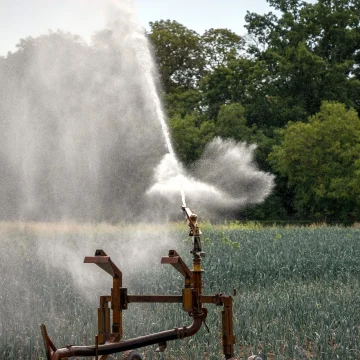Réintroduction de Pesticides : Une Polémique Sanitaire