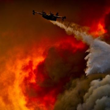Incendies en Corse : Une Région en Proie aux Flammes