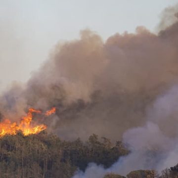 4da44b88-5210-44dc-a817-c26ebc37008e Incendies Dévastateurs en Espagne: Des Hectares en Fumée