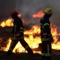 Mobilisation Générale des Maires Face aux Incendies en France