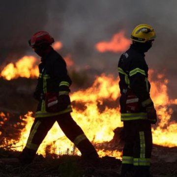 Mobilisation Générale des Maires Face aux Incendies en France