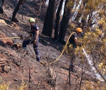 Les incendies en France : Bilan et interventions
