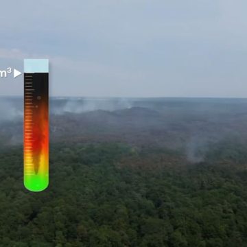 50a9c069-6f2e-4453-9a74-7281748f523a Conséquences des Incendies à Fontainebleau sur la Qualité de l’Air et l’Environnement