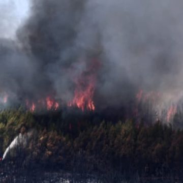 L’incendie de Taradeau : Enquête sur une origine criminelle