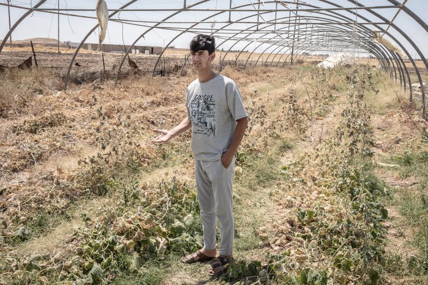 Irak La lutte des jeunes agriculteurs à Sinjar