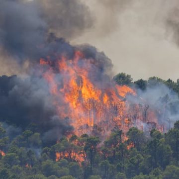 53bc62ea-be1c-478a-9f4b-1270003cd4a9 Le feu dans le Var : situation en voie de stabilisation