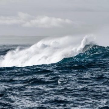 Un navigateur survit un mois à la dérive dans le Pacifique
