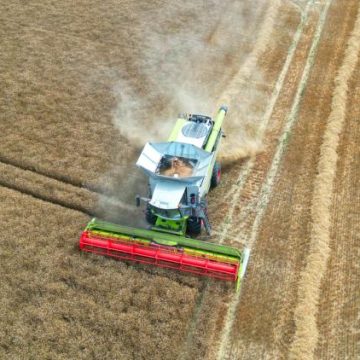 Évaluation de la production de blé en France : Un bilan mitigé en 2026