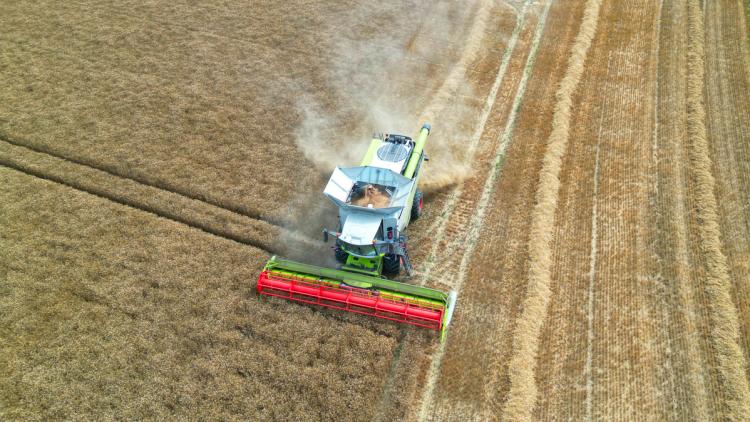55af2474-5d29-418b-b136-539bdbad78f2 Évaluation de la production de blé en France : Un bilan mitigé en 2026