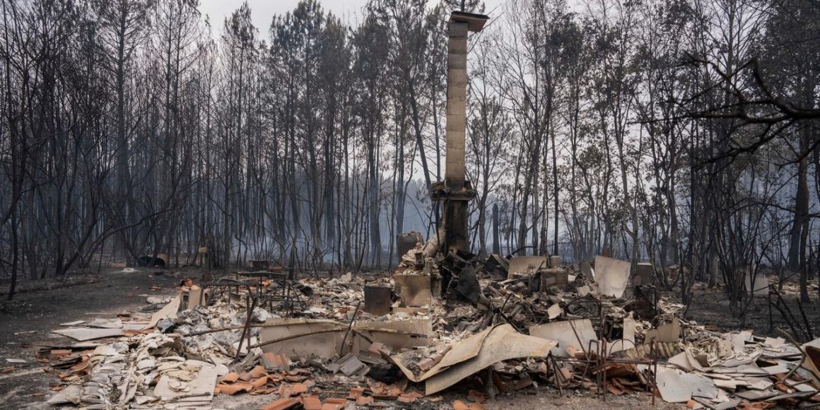 5a07991b-28d3-4303-8711-6a33ea823fa0 Les incendies en Gironde : une communauté dévastée et des défis de reconstruction