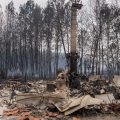 Les incendies en Gironde : une communauté dévastée et des défis de reconstruction