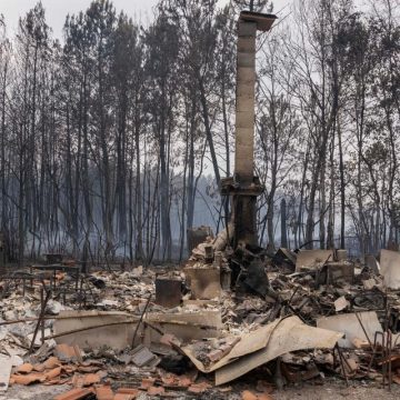 Les incendies en Gironde : une communauté dévastée et des défis de reconstruction