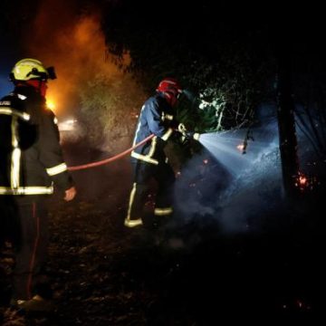 Une reprise de l&rsquo;incendie en forêt de Fontainebleau mobilise des pompiers
