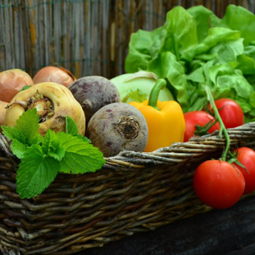 63e053b4-ad0e-4e3a-8f2c-49ef1fbf4e3e Augmentation des prix des légumes en France: impact des aléas climatiques