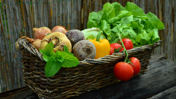 63e053b4-ad0e-4e3a-8f2c-49ef1fbf4e3e Augmentation des prix des légumes en France: impact des aléas climatiques