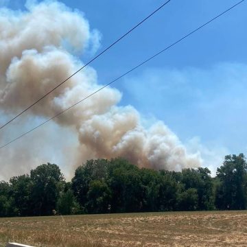 Incendies en France: Les Dernières Évolutions