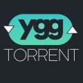 Démantèlement du site YggTorrent par la gendarmerie