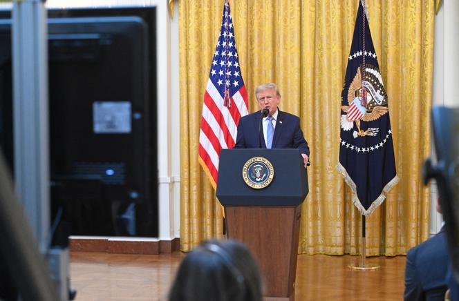 6a3a4bff-587e-432e-b563-bffcbaf9ccd3 L’influence de Donald Trump sur la démocratie américaine