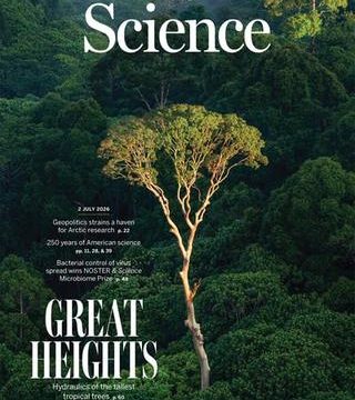 Les arbres géants face à la sécheresse : une résistance insoupçonnée